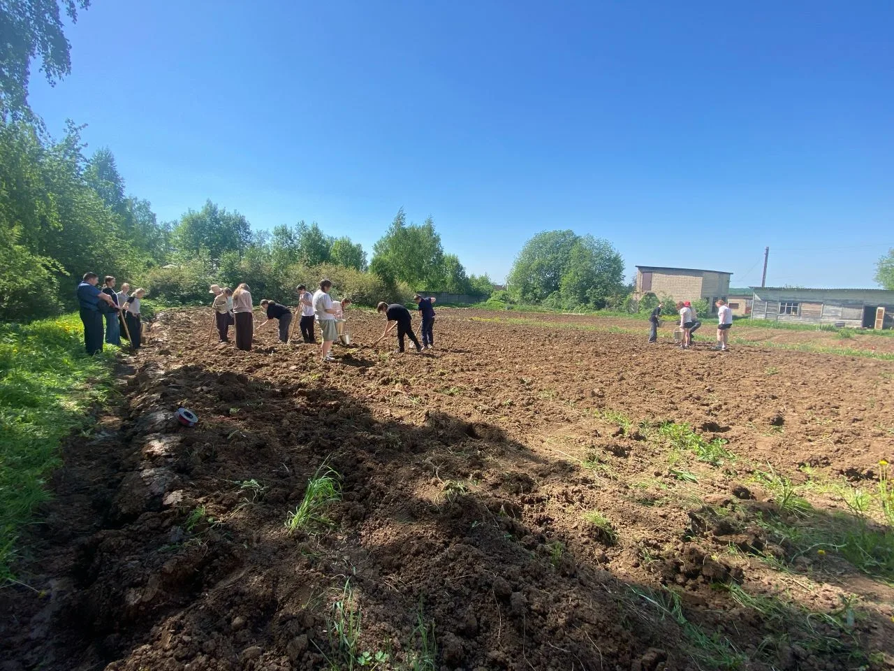 📣 Трудовой десант: посадка картофеля на пришкольном участке