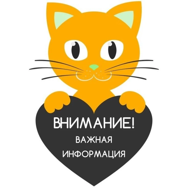 Дорогие друзья!