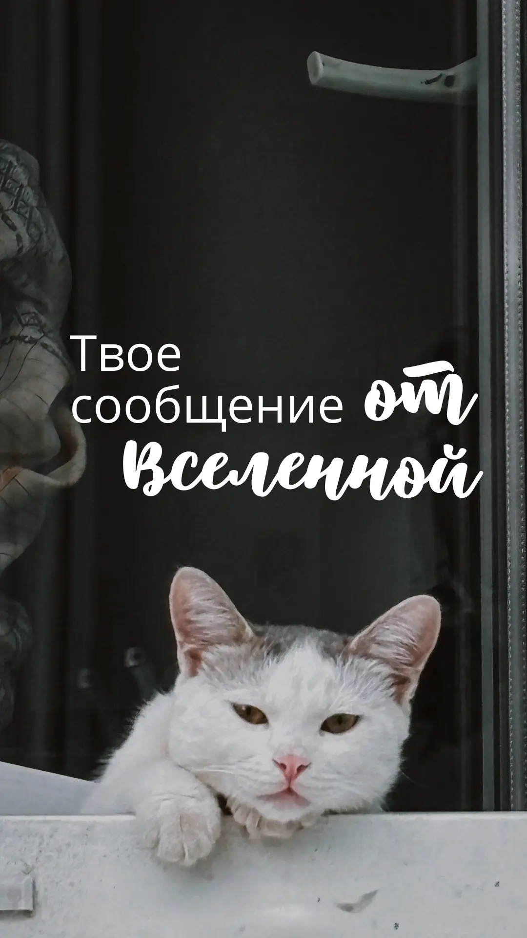 😍  Вселенная печатает...