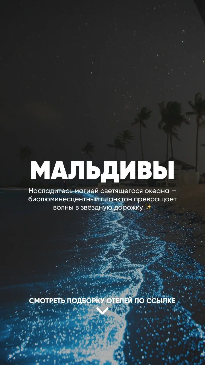 🌍 Мир, который хочется увидеть
