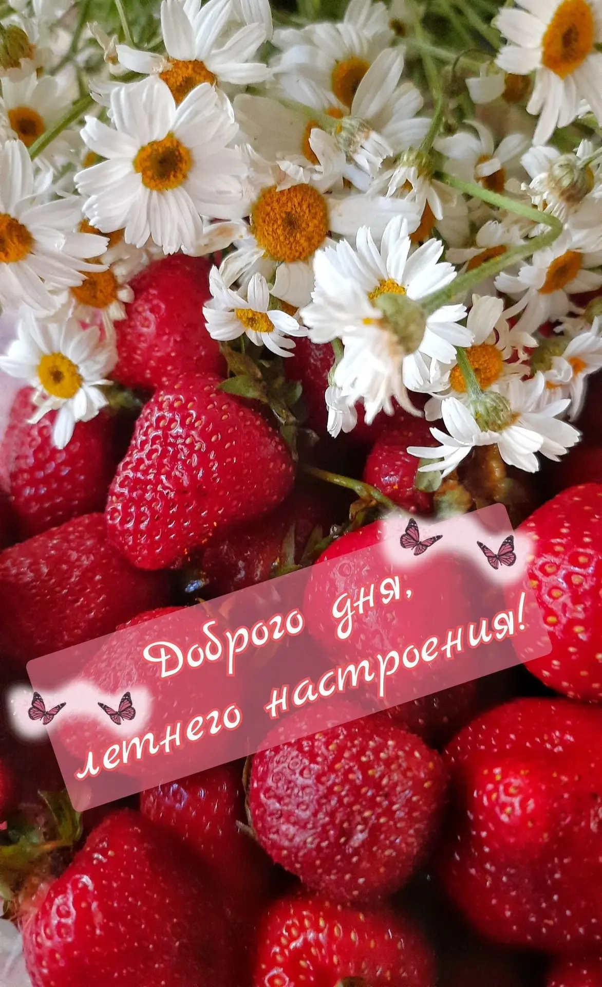 Открытки для улыбки 💌  Подписаться