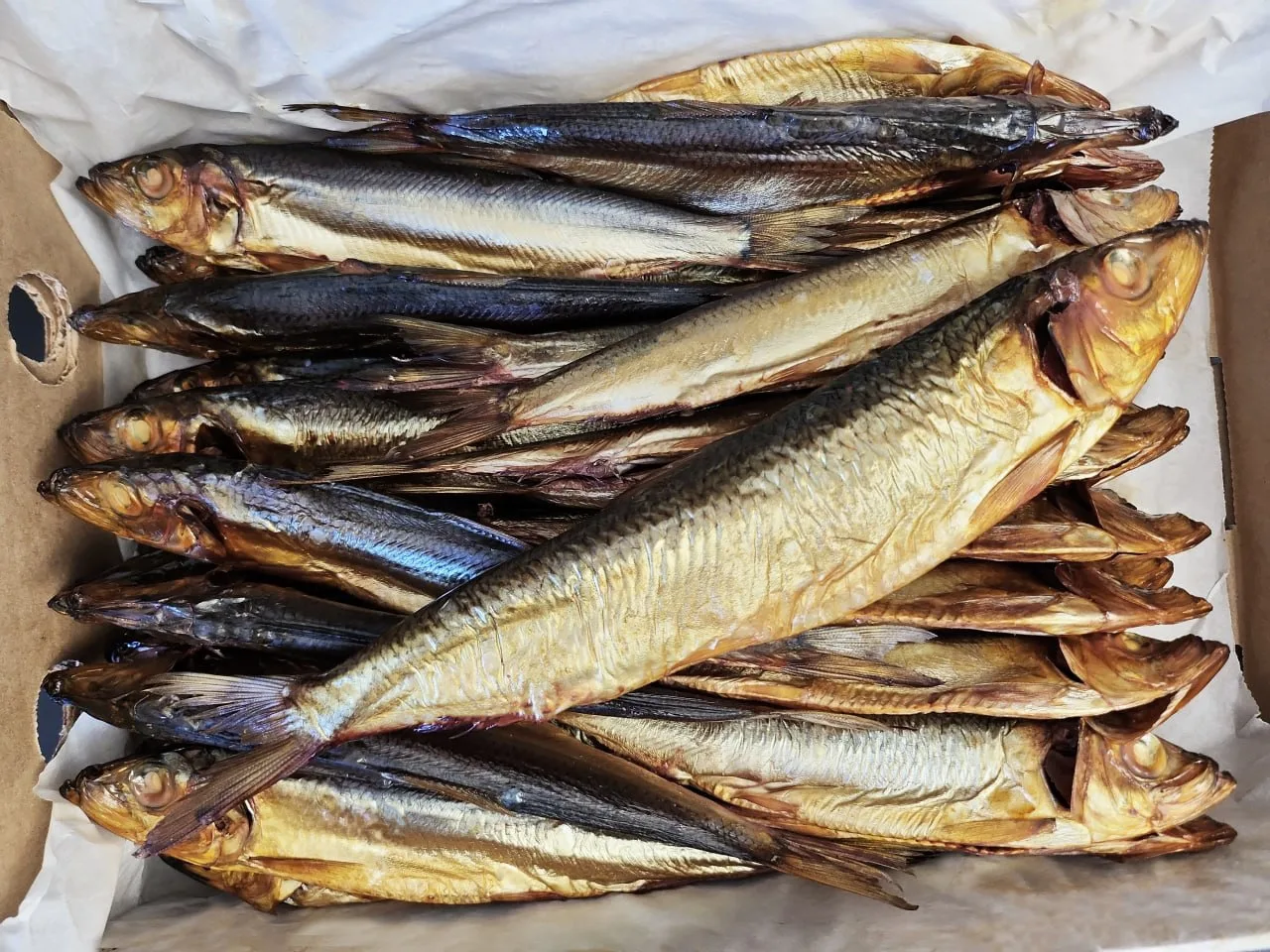 Салака балтийская н/р х/к.🍴 Цена: 45 руб 30 коп за 100г с НДС.  ☎️По всем вопросам звоните по тел: 8