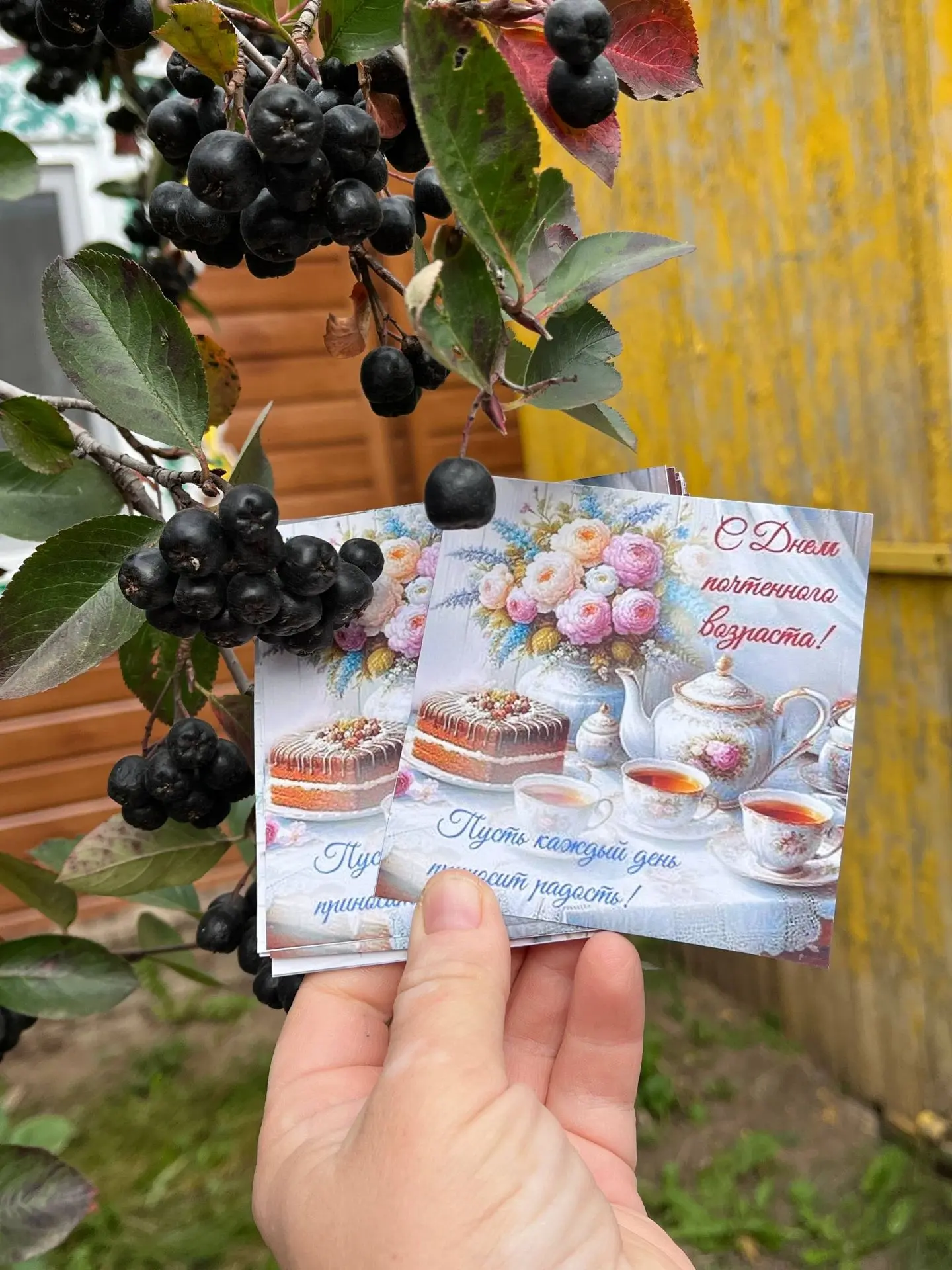 День добра, уважения и золотой мудрости! 🌸✨