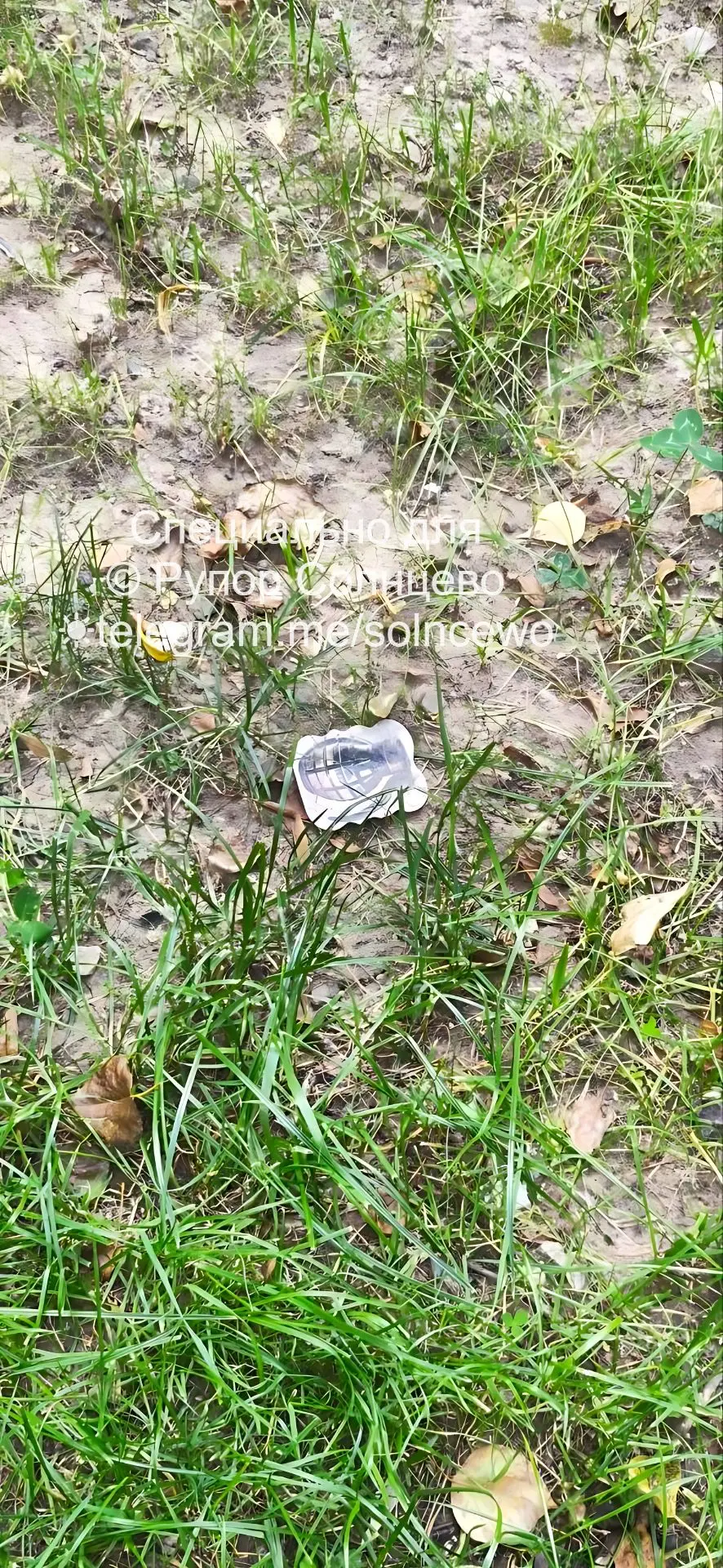 Снова покос триммерами Солнцевский 9 к 1. В отделе Благоустройства со мной абсолютно по хамски погов