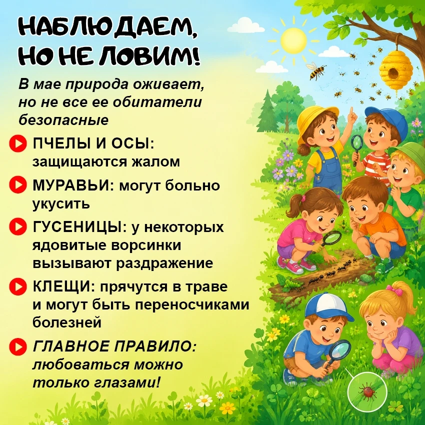 Май — чудесное время для прогулок! Природа просыпается, светит солнце, и детям хочется ...