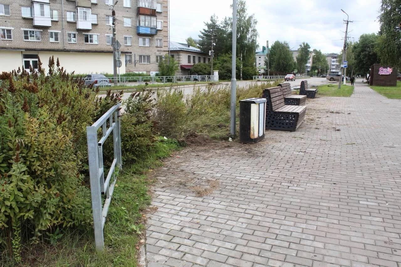⚖️ Оценили ущерб: виновнику скандального ДТП на самосвале придётся возместить более пол...