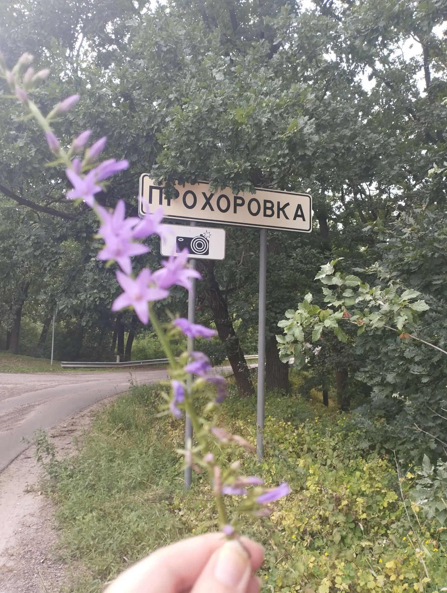 Пешком по Прохоровке https://vk.ru/proxorsiti мы в контакте, присоединяйтесь!