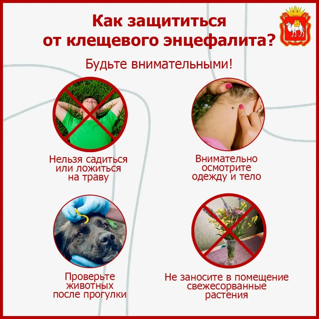 🌲 Клещевой энцефалит: как защитить себя?  Сезон активности клещей уже начался. Чтобы не рисковать зд