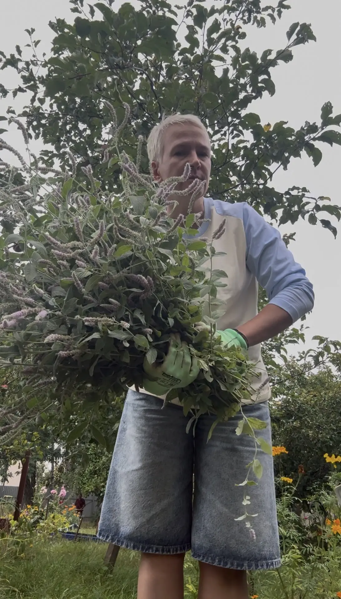 Мяту надо? 🍃🍃🍃