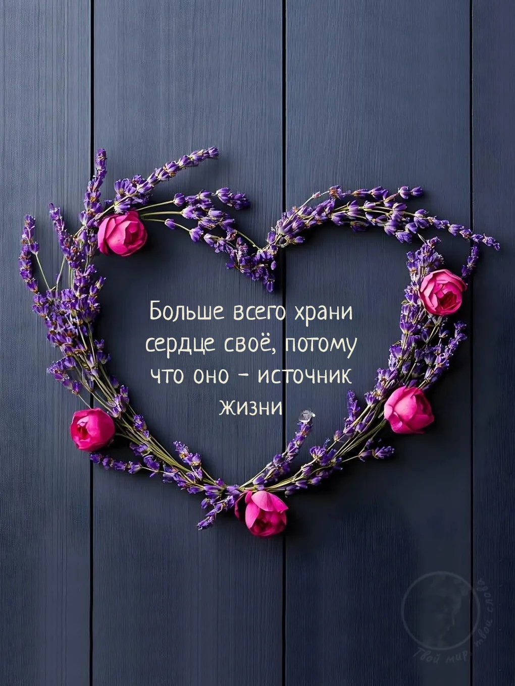 Твой мир, твои слова