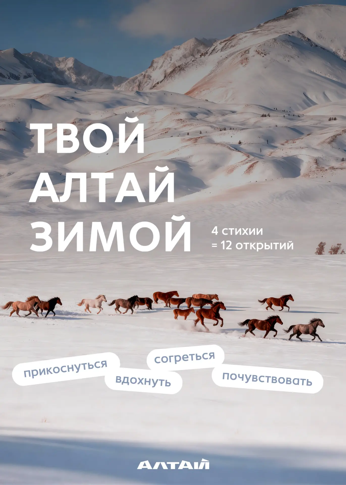 4 стихии = 12 открытий на Алтае😍