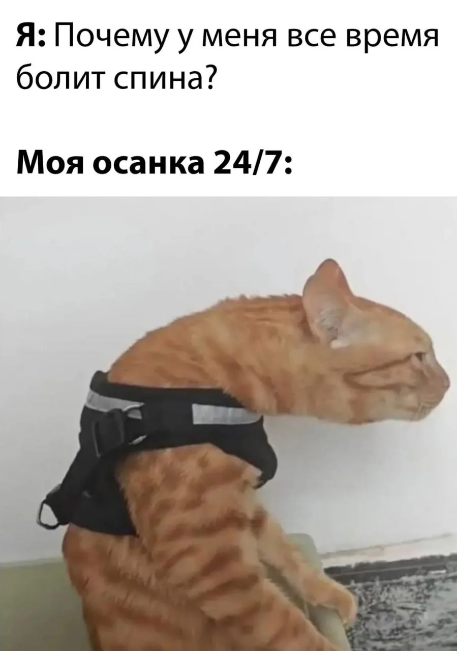 😂 Причины внутри нас самих, снаружи только оправдания.