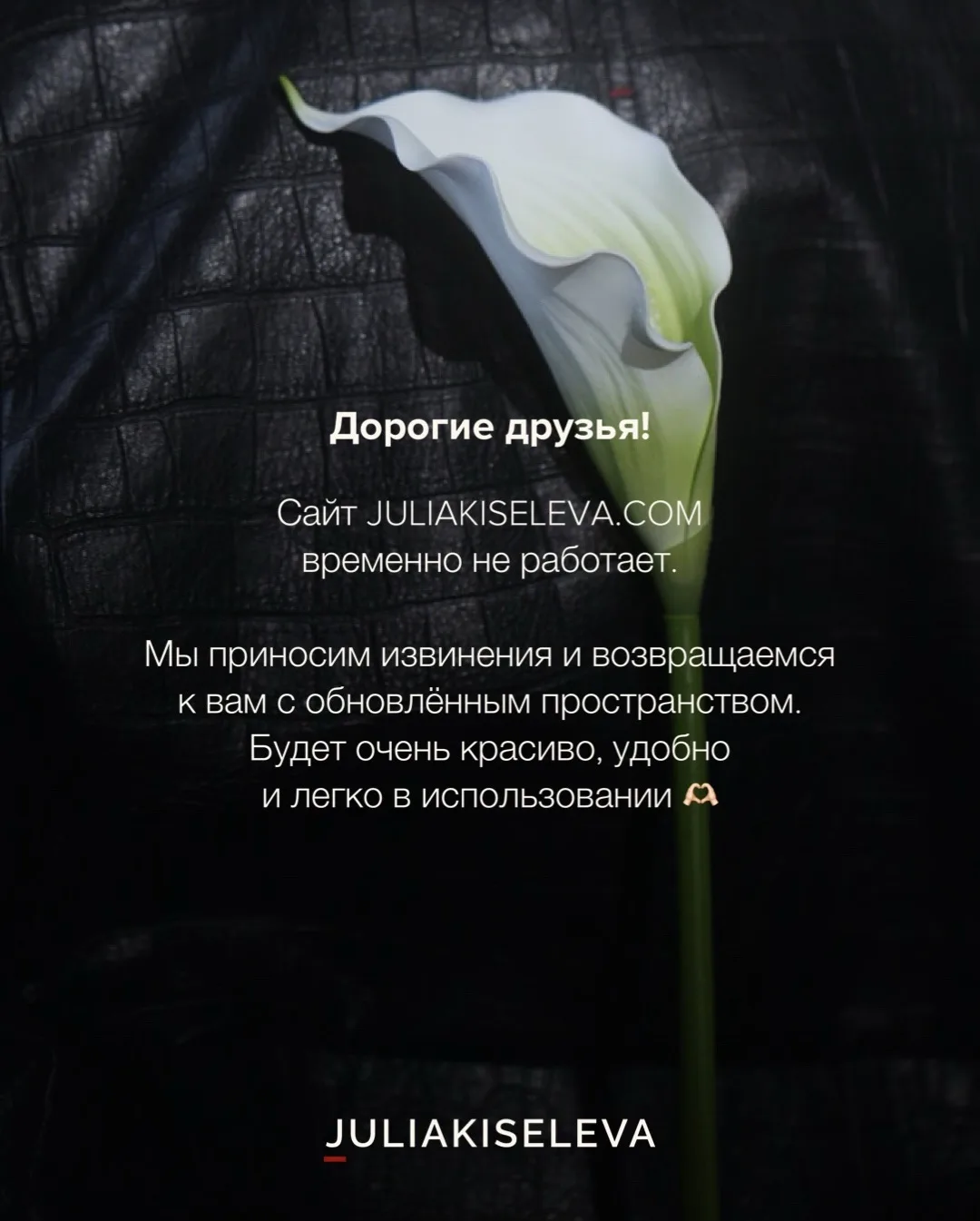Дорогие друзья ♥️

Сайт juliakiseleva.com временно не работает. 

Мы приносим извинения и возвращаем