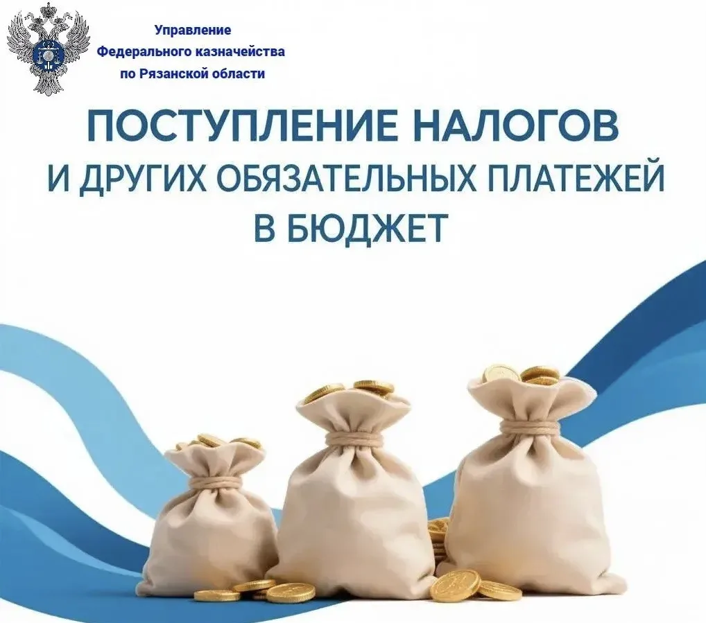 Результаты поступления налогов и иных обязательных платежей в бюджеты всех уровней на территории Ряз