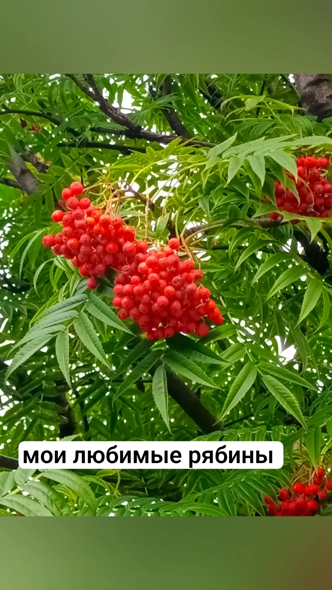 Хорошего дня 🙏!