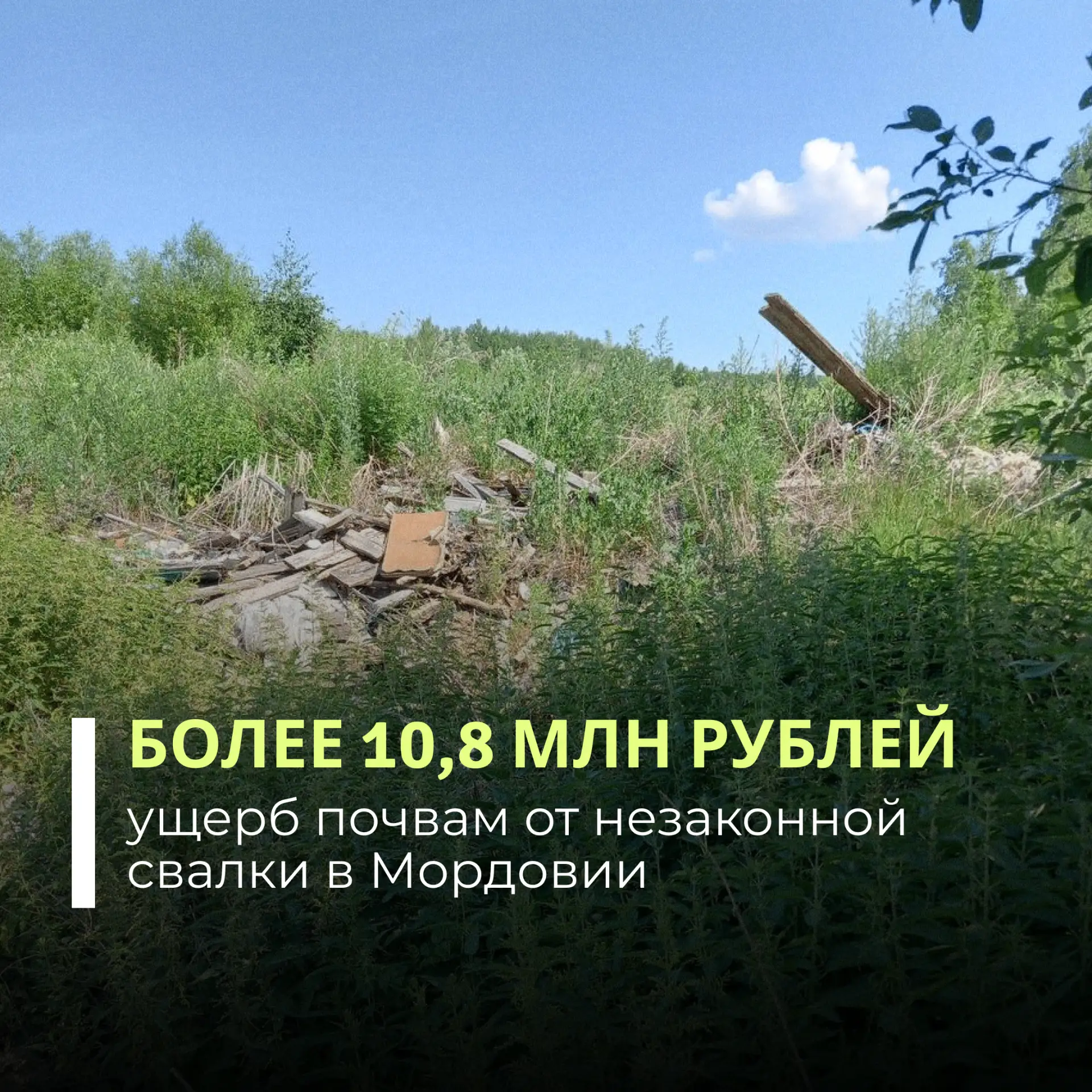 Суд обязал администрацию Большеигнатовского района Республики Мордовия возместить вред, причиненный 