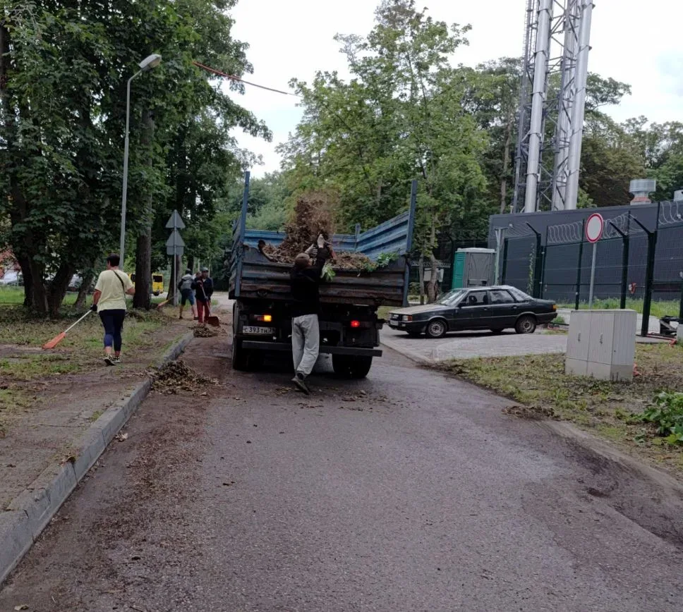 В понедельник специалисты провели комплекс работ по благоустройству территории: