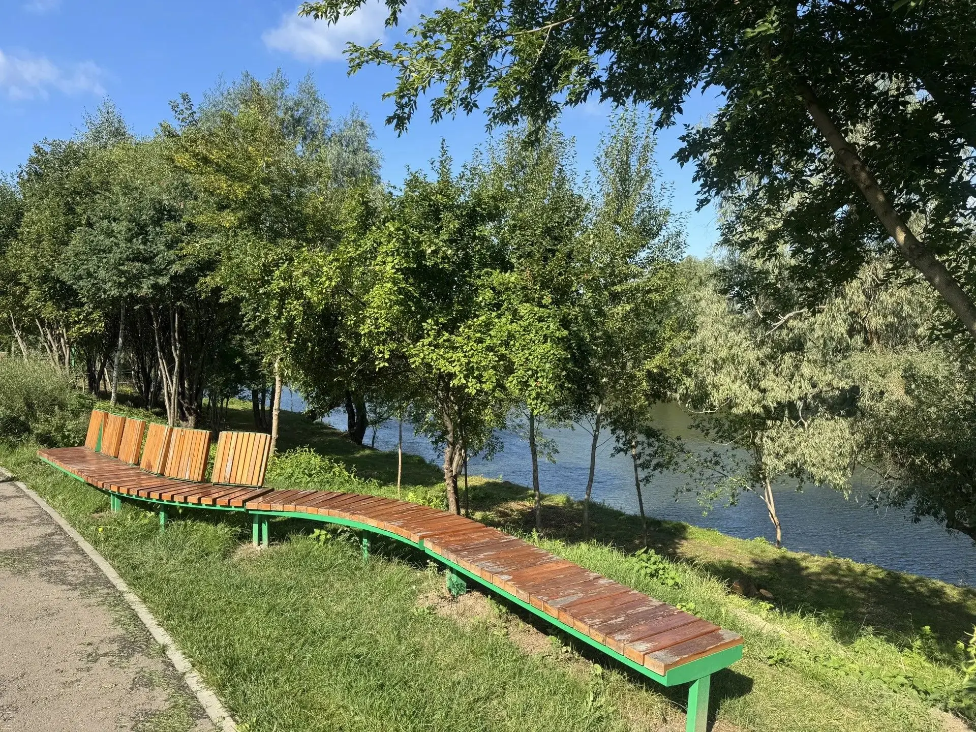 Город зеленого цвета🌳