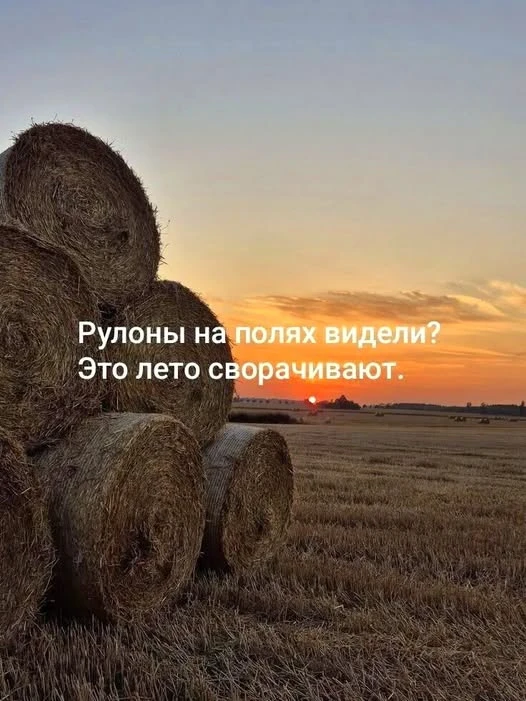 Зато разворачивается самый активный бизнес-сезон!