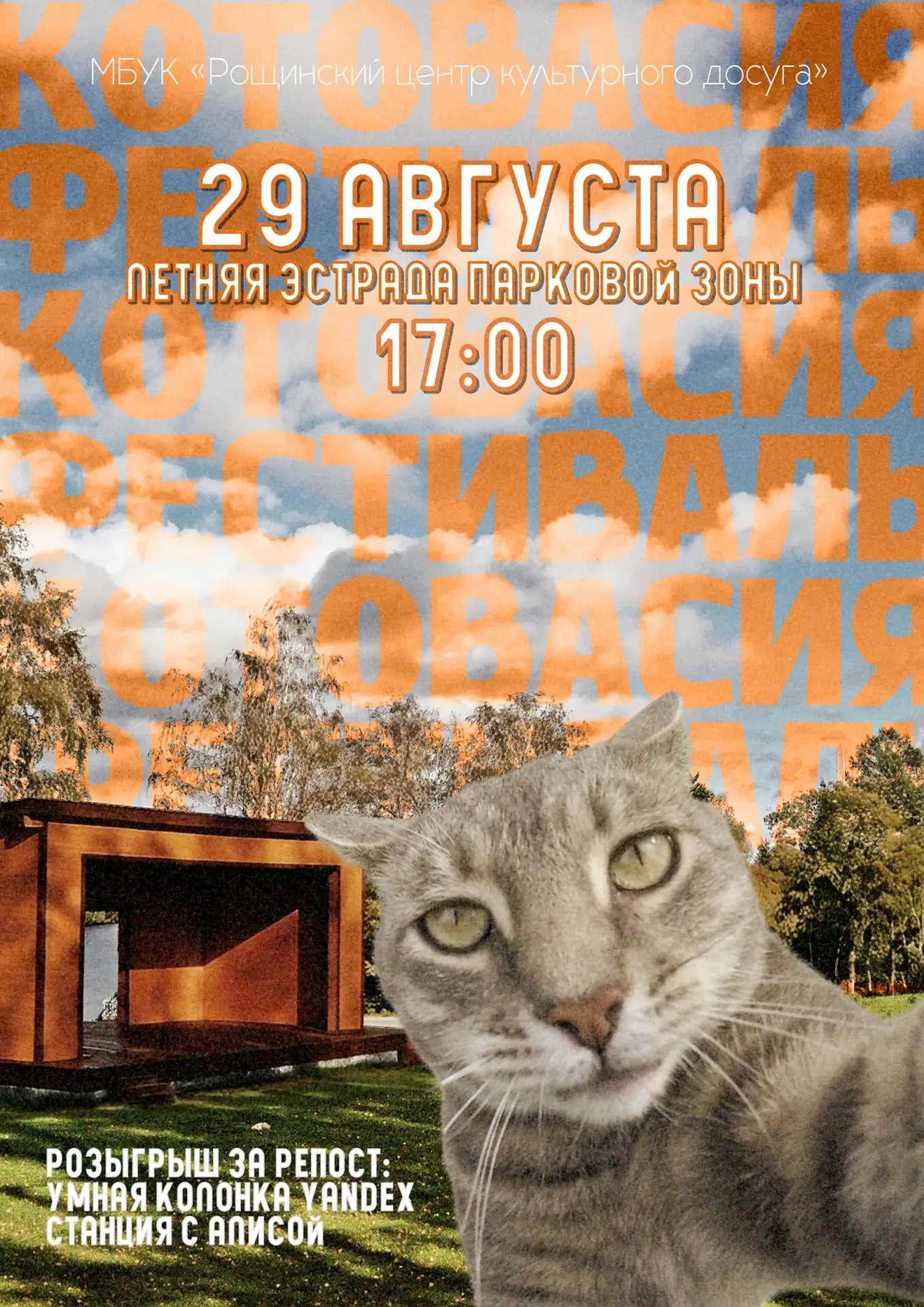 🐱 ФЕСТИВАЛЬ «КОТОВАСИЯ» | 29 АВГУСТА