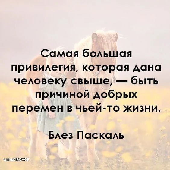 #ФилософияПерехода
