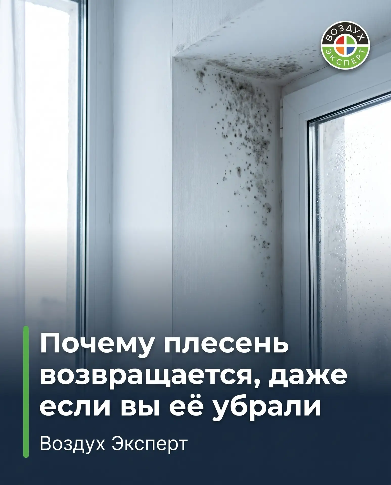 Убрали плесень — а через месяц она снова. Почему?🤷🏼‍♀️