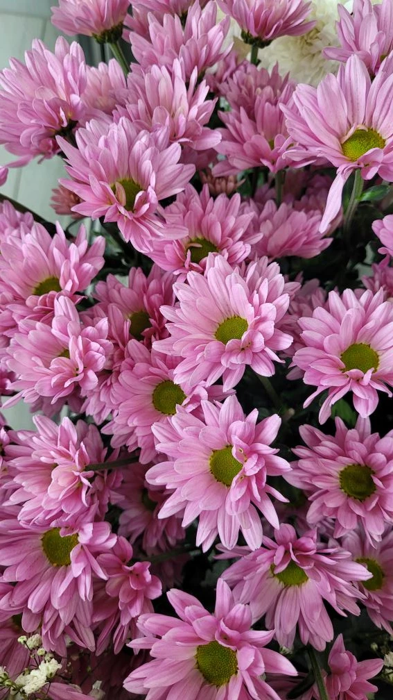 В наличии 💐