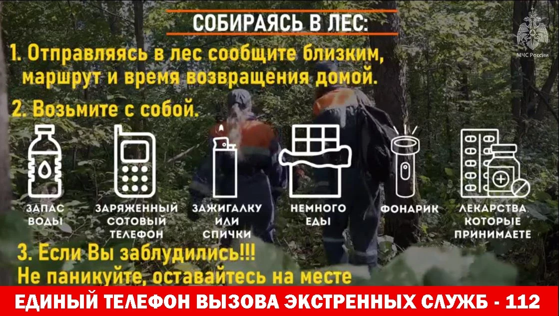 🍄‍🟫 Любителям "тихой" охоты на заметку !