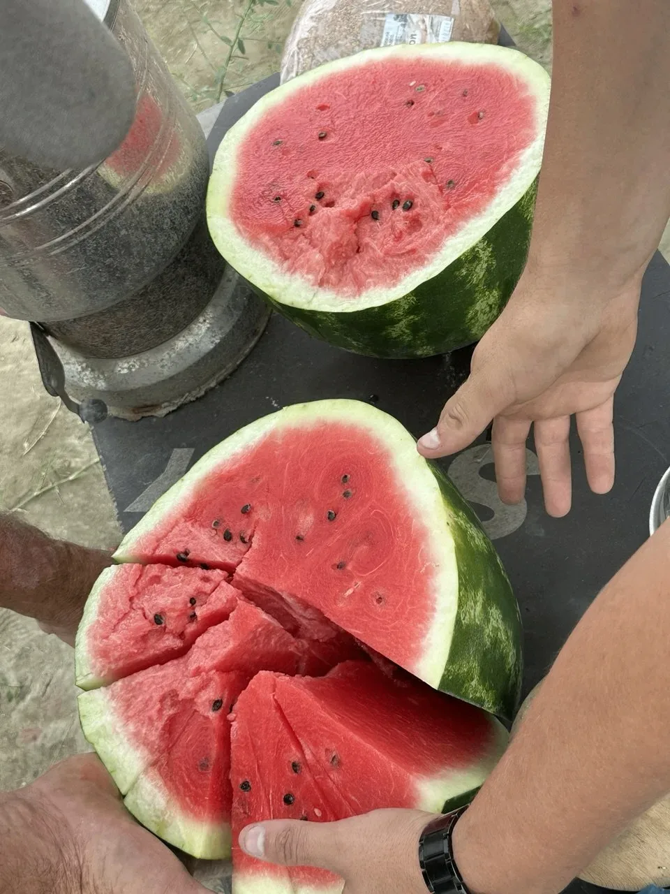 🍉🍉🍉🍉🍉🍉🍉🍉🍉

СЕЗОН АРБУЗОВ НАСТУПАЕТ !!!!


К НАМ ЕДУТ ВКУСНЫЕ И СПЕЛЫЕ АРБУЗЫ

✅ Выращены сп