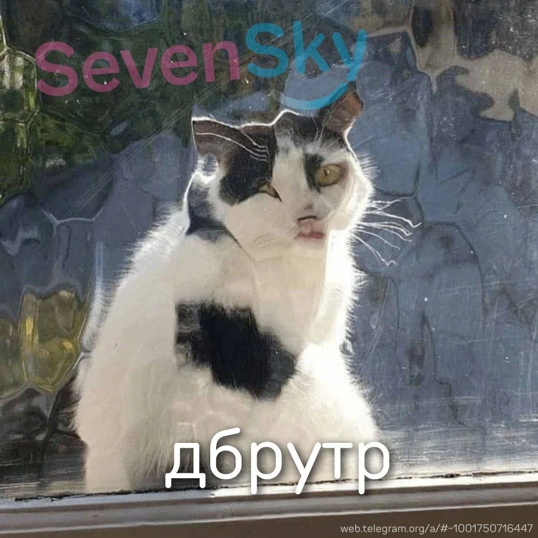Утро не задалось. Скоро покажем, чем заняты наши сотрудники.