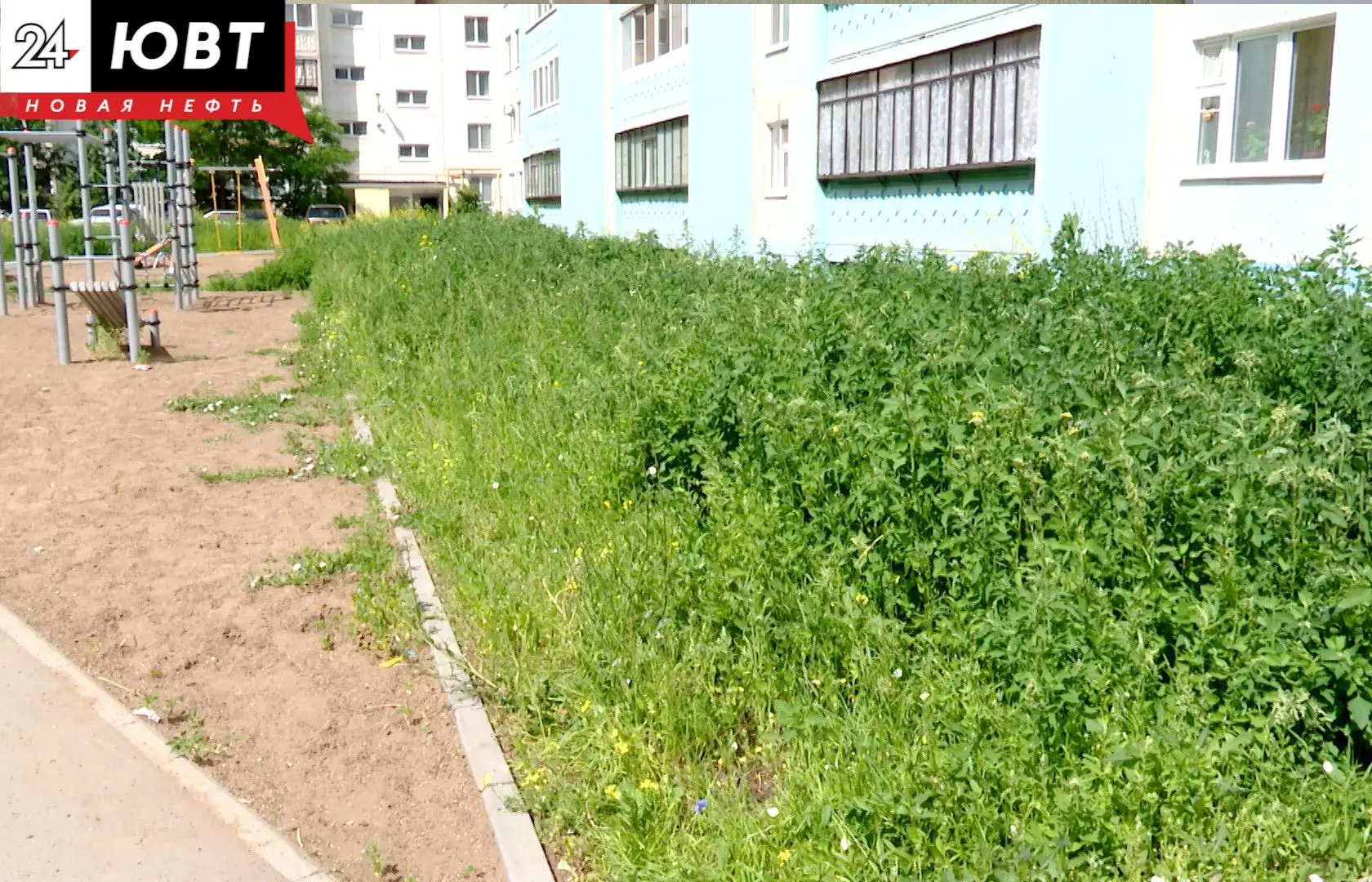 🌿На девяти участках Альметьевска сегодня пройдет покос травы
  
Сегодня в Альметьевске специалисты 