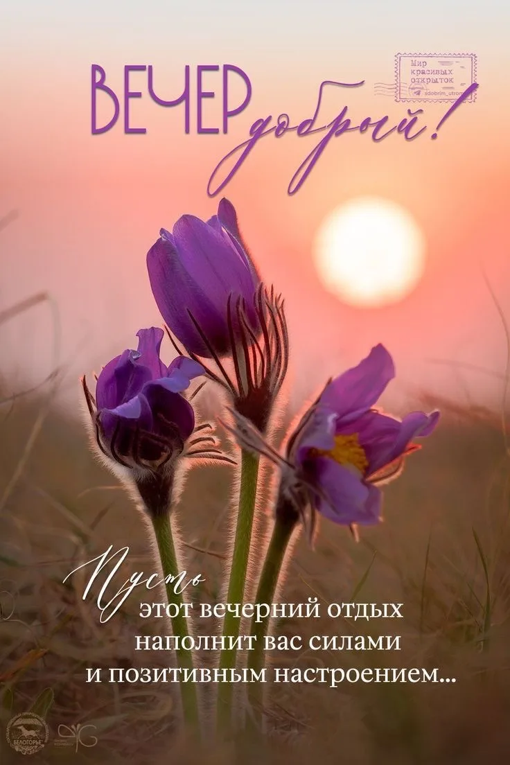 Изображение 1 к публикации «ОТКРЫТКИ»