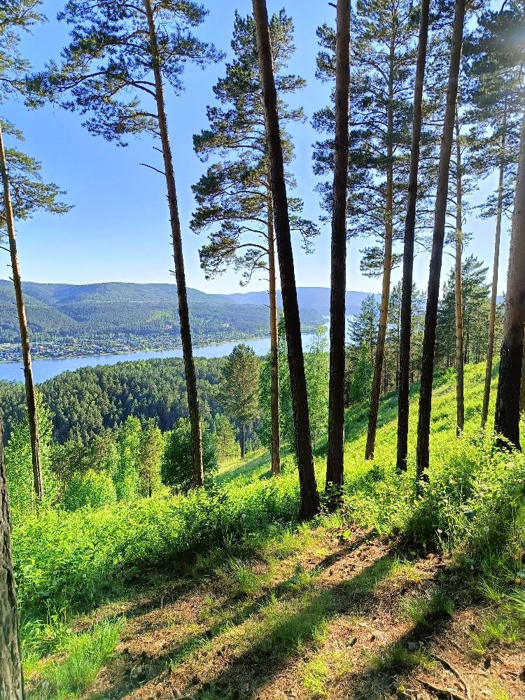 С пятницей, коллеги☀️

Прежде всего, напоминаю вам, что продолжается регистрация на вебинар по отчет