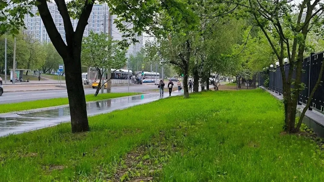 Тепло, но сыро: синоптики предупредили о дождях в Подмосковье  24 мая, ожидается теплая, но переменч