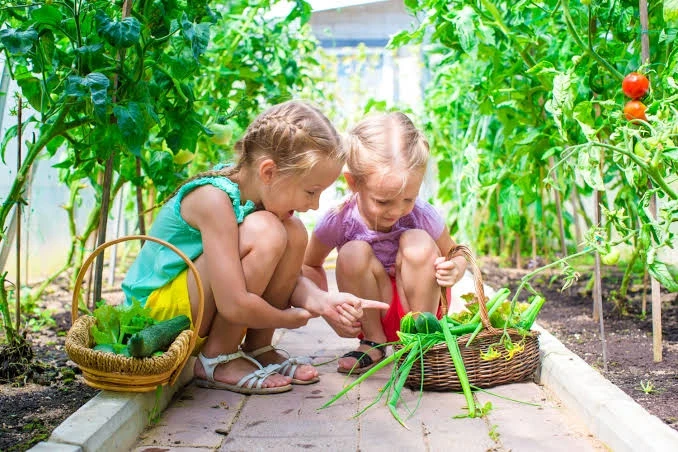 СОВЕТ СПЕЦИАЛИСТА. ДАЧНЫЙ ЛОГОПЕД  
☀️ Здравствуйте, дорогие родители! Лето в самом разгаре, и многи