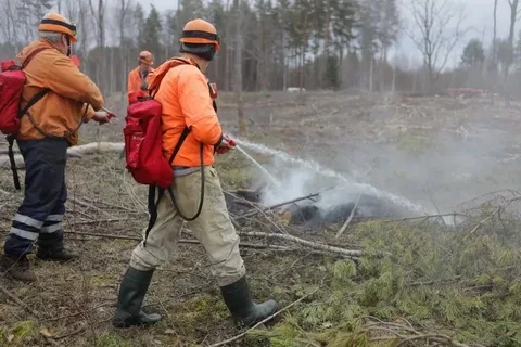 Режим ЧС введен на территории Ленского района в Якутии из-за тяжелой обстановки с пожарами. 

Об это