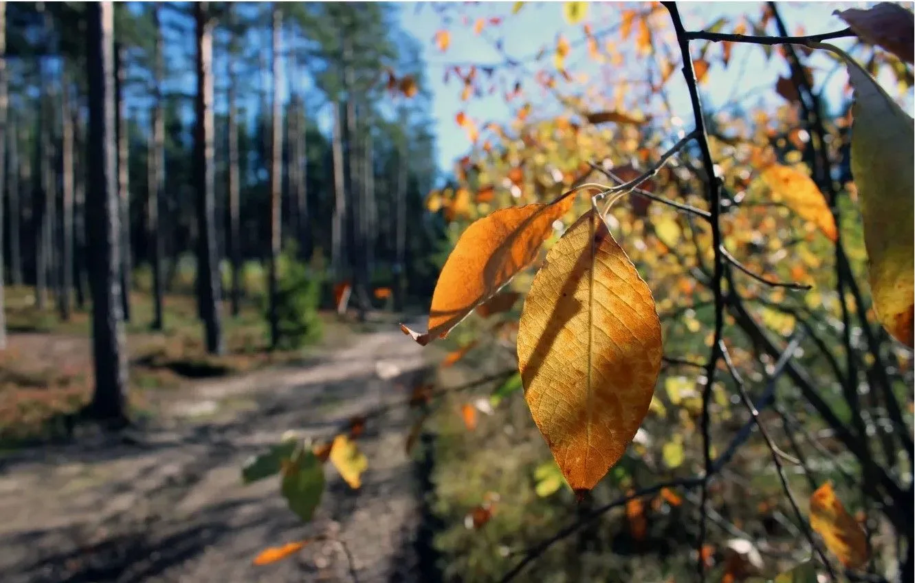 Сегодня планово, в понедельник обсудили: