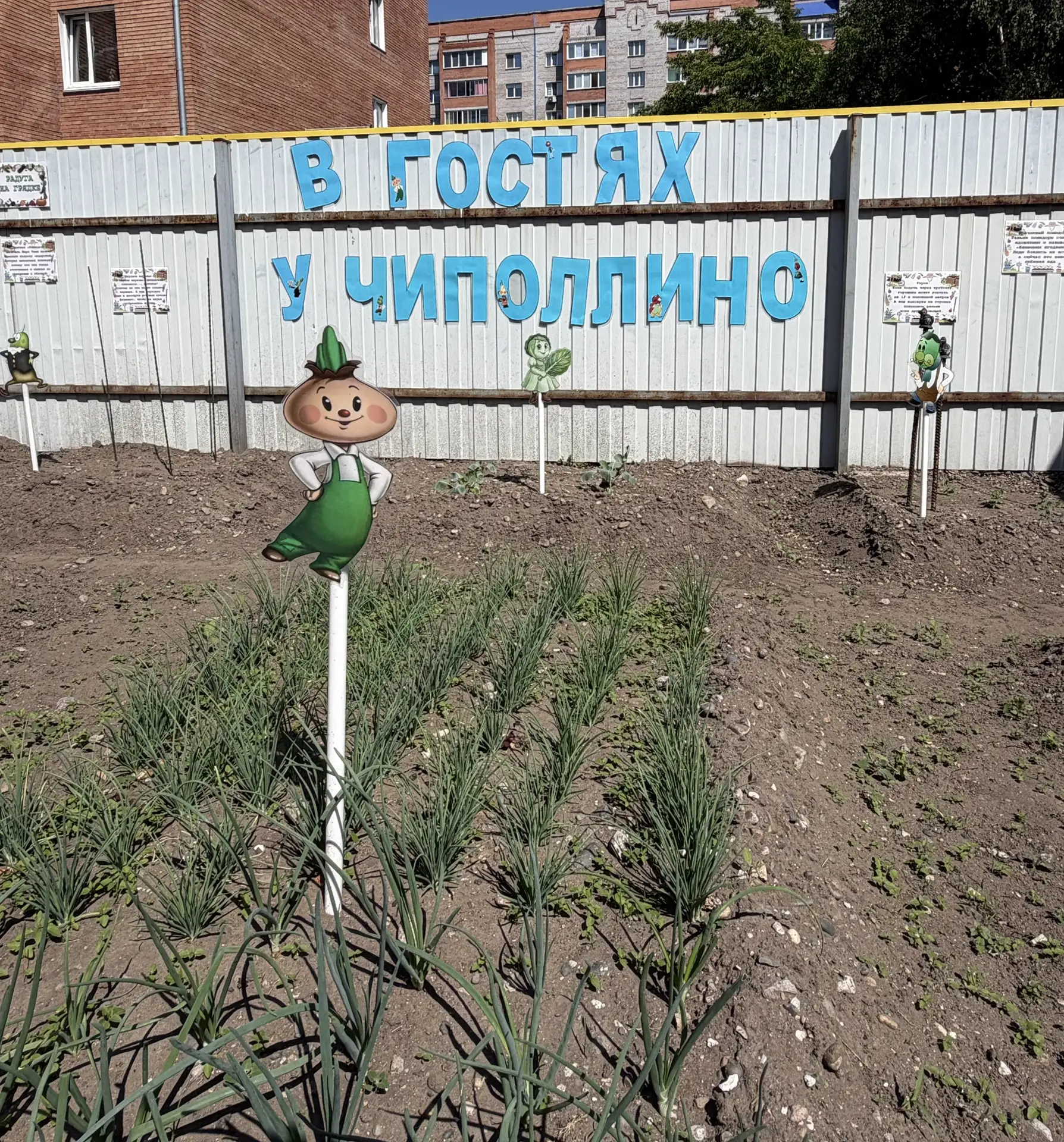 🌿 В гостях у Чиполлино: сказочный огород в нашем детском саду!🤗

Помните сказку про озорного мальч