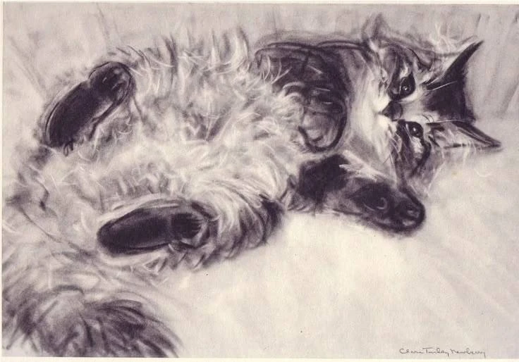 🔘 Clare Turlay Newberry