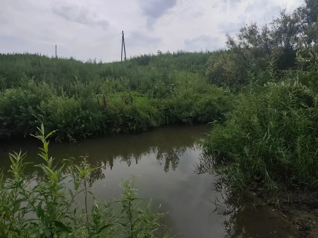 Безопасность детей на воде — наша общая ответственность!