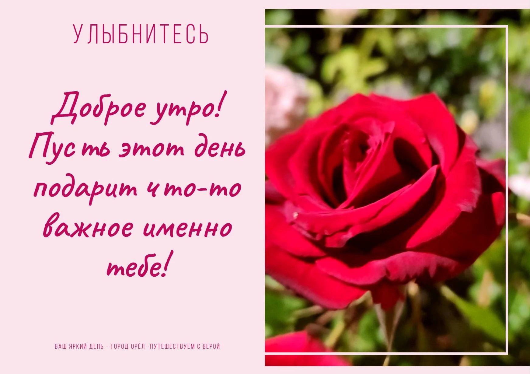 ✨ Доброе утро! Пусть день будет в вашем ритме: столько, сколько нужно, и так, как хочется.