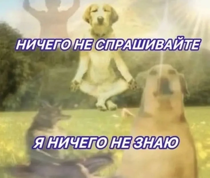 Мы не судим, но мы обсудим. В эфире рубрика мне только спросить «Мёд, говно и гвозди». ...