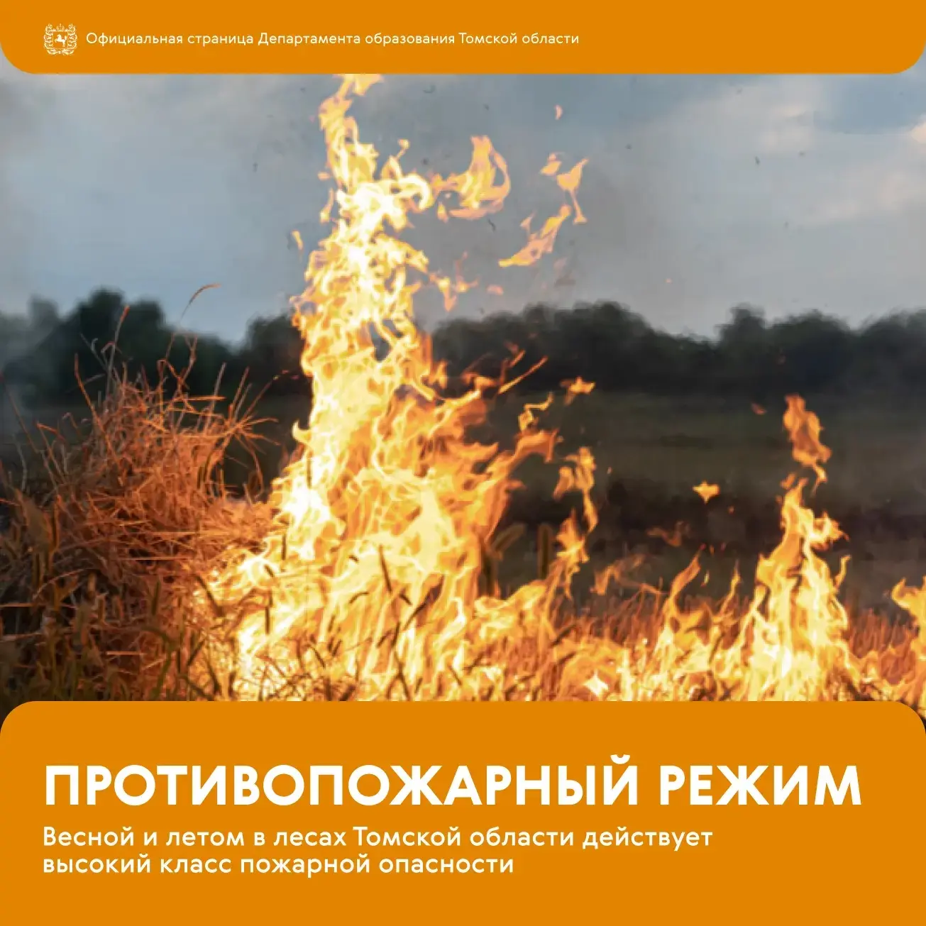 ⚠️ Безопасность начинается с простых правил