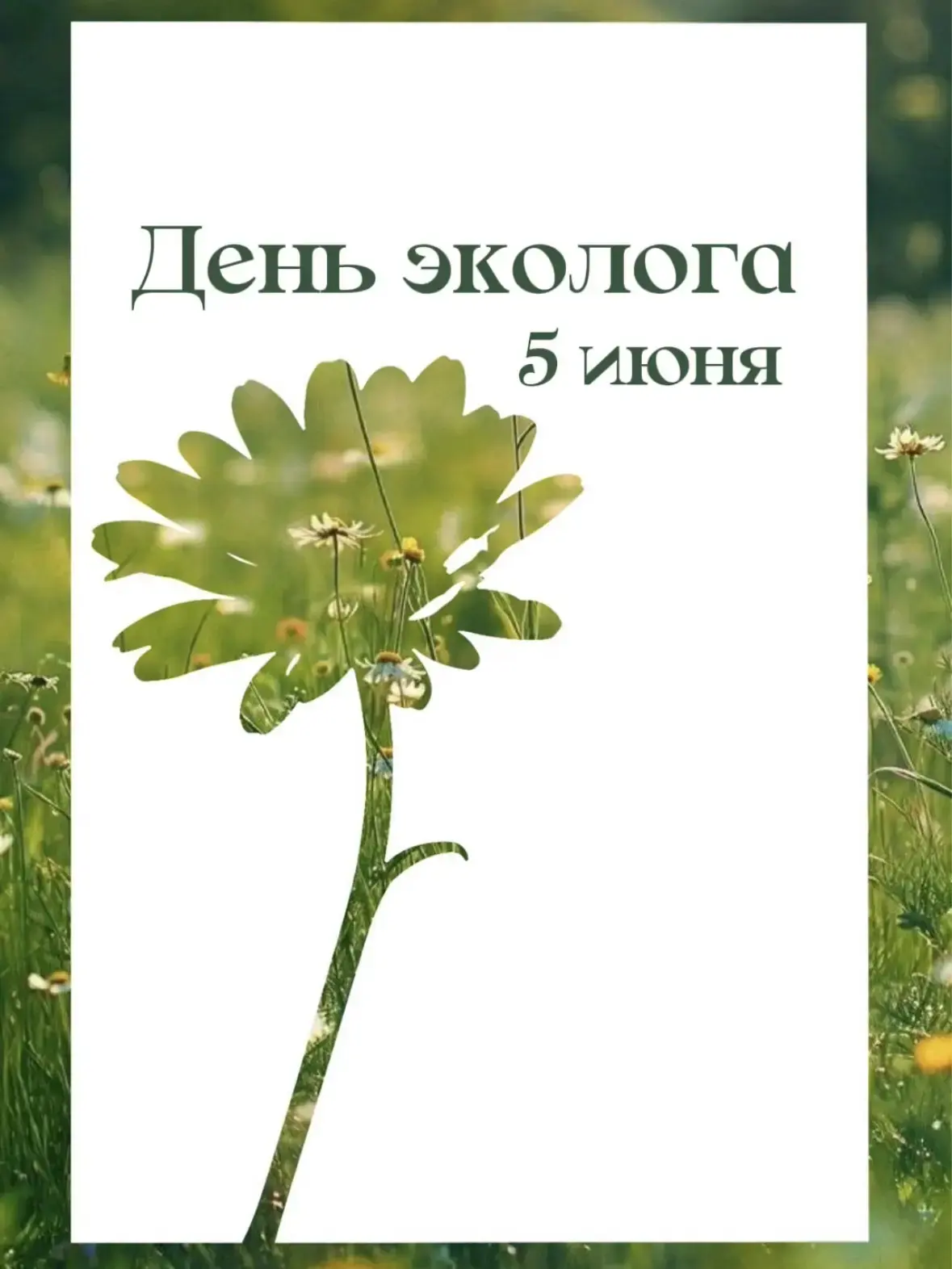 5 ИЮНЯ — ДЕНЬ ЭКОЛОГА