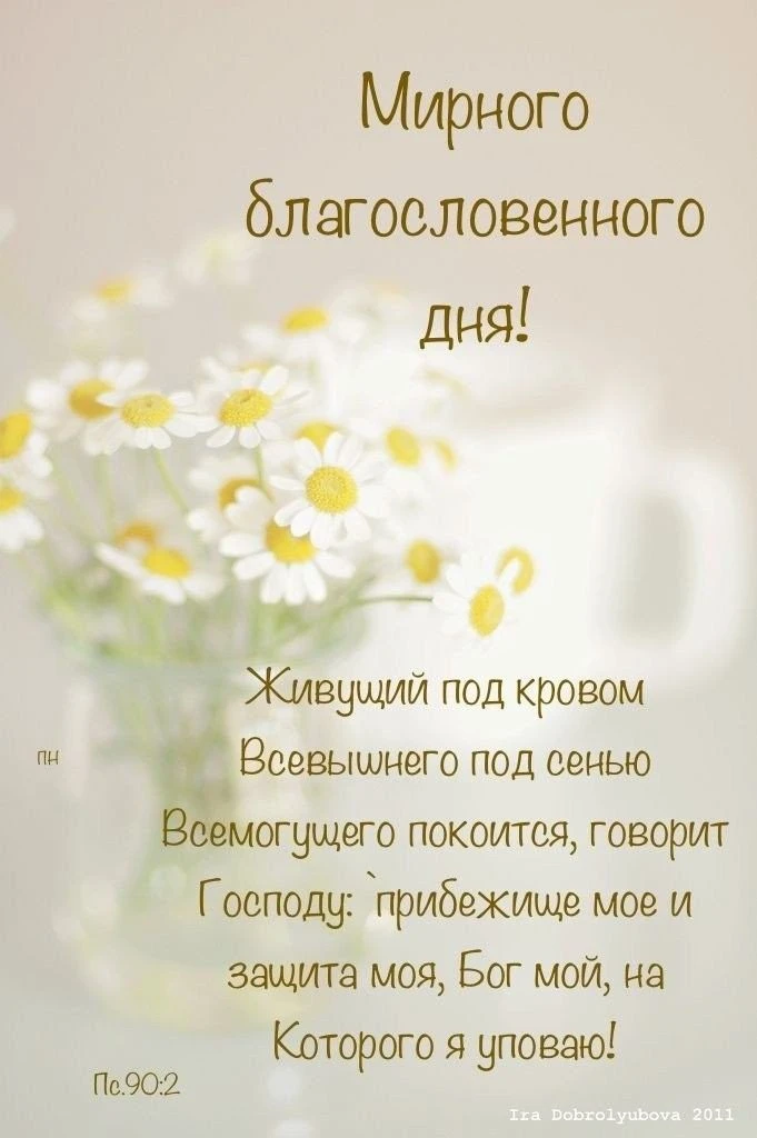 👉 Наши каналы. Подписаться.