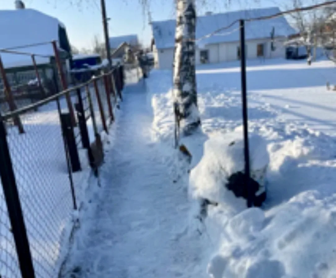 🙏Морозы отступили, и волонтеры продолжают бороться со снежной стихией!   ❄️🧹Воспитанники волонтерско