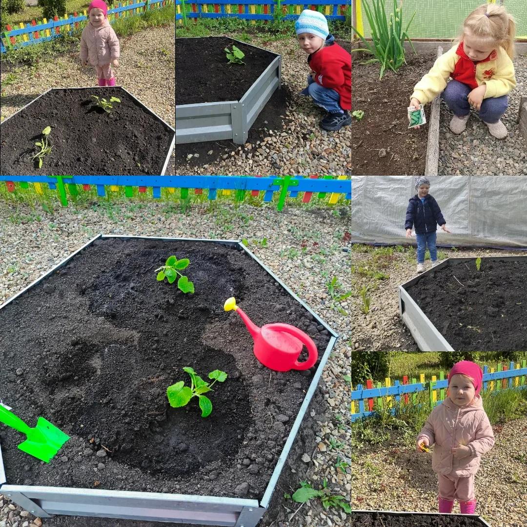 🌱 Наш кабачок растёт не по дням, а по часам!