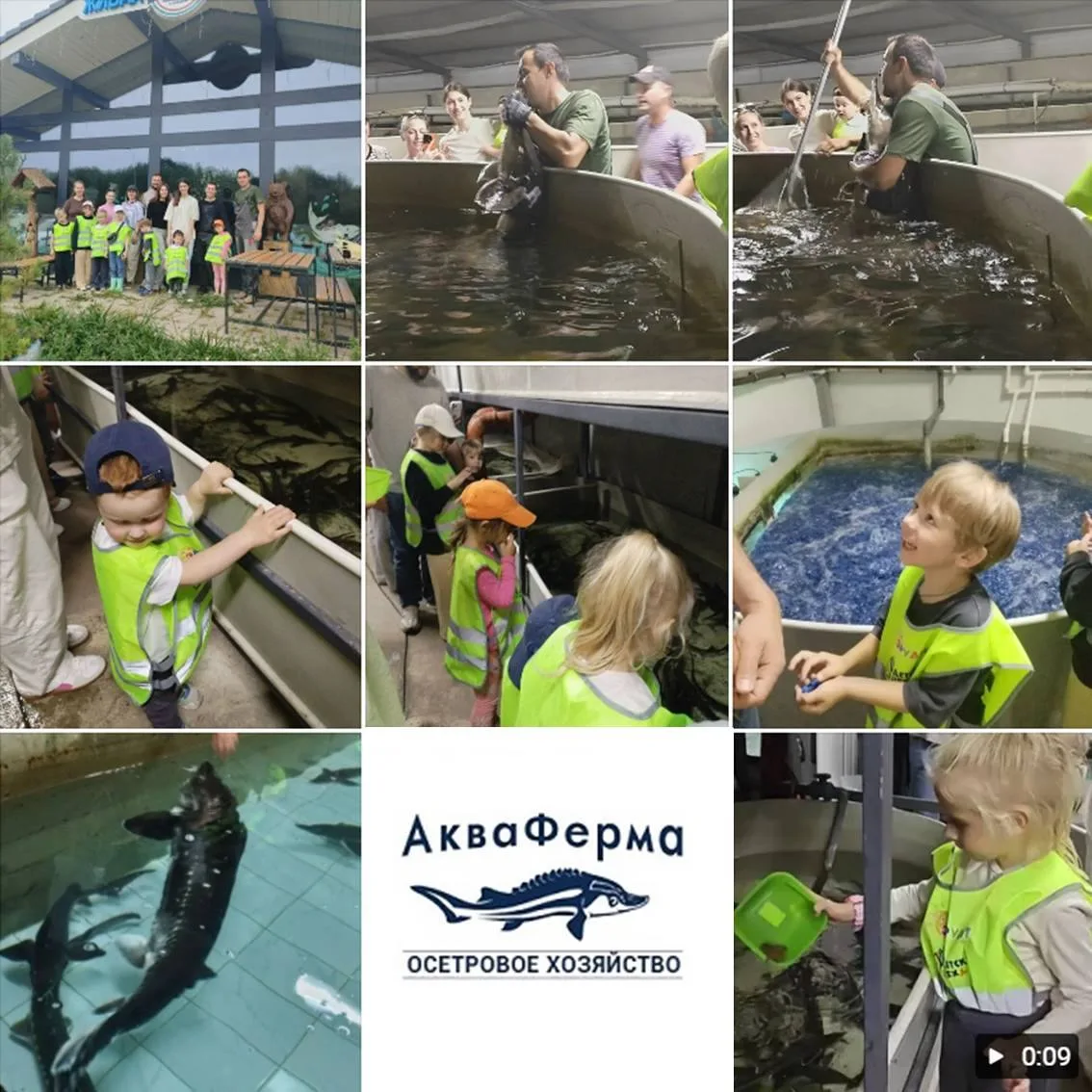 Как прошел рыбный день на "Акваферма" в Гатчине! 💫🐟