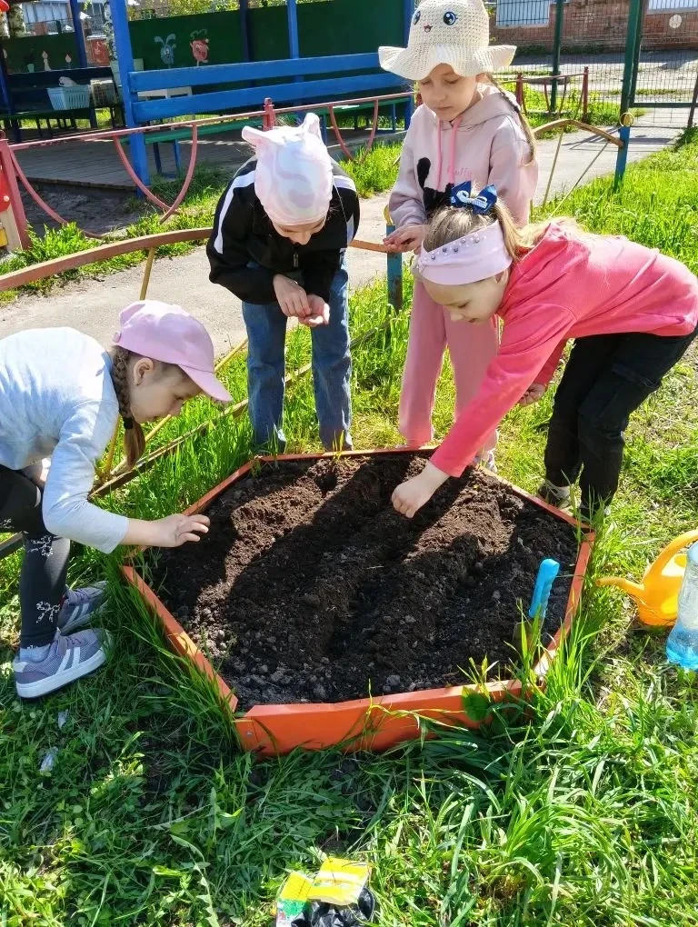🥬🥕🍠 Внимание, внимание! В нашем детском саду открылся «Весёлый огород» — место, где ...