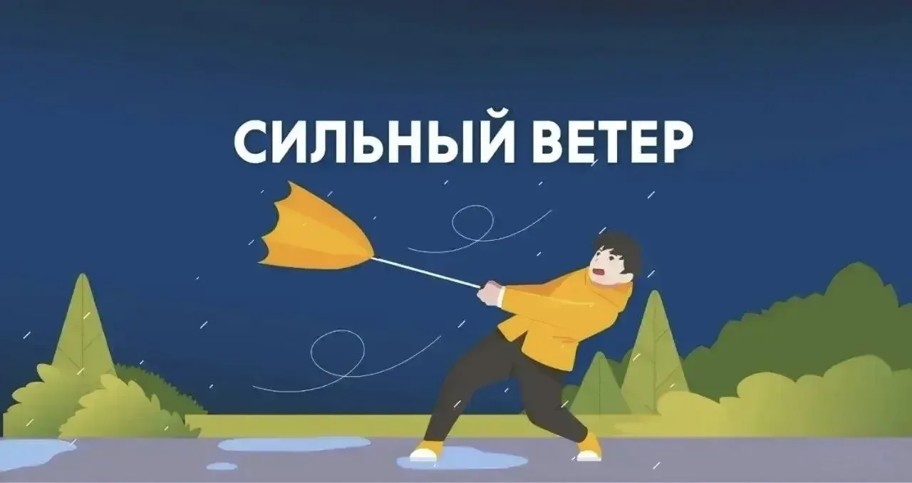 ❗️ На Орловщине ожидаются порывы ветра до 20 м/с